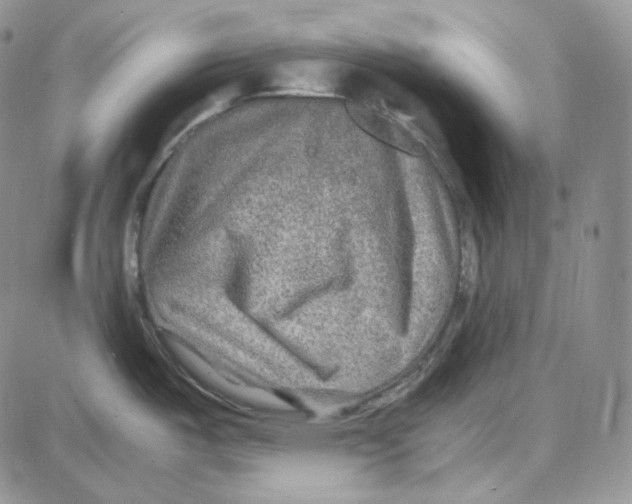 X0000087641487200705241227