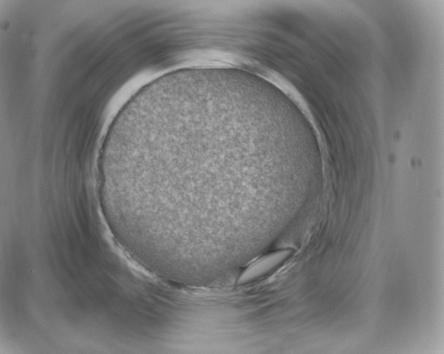 X0000087641488200705241227