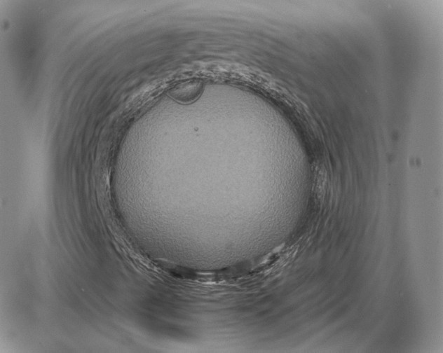 X0000087641489200705241226