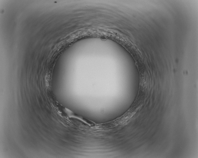 X0000087641490200705241226