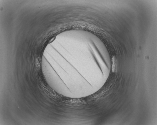 X0000087641491200705241226