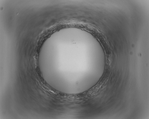 X0000087641493200705241226