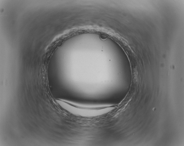 X0000087641494200705241226