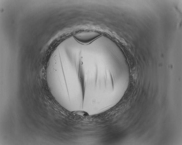 X0000087641495200705241226