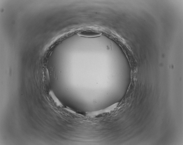 X0000087641496200705241226