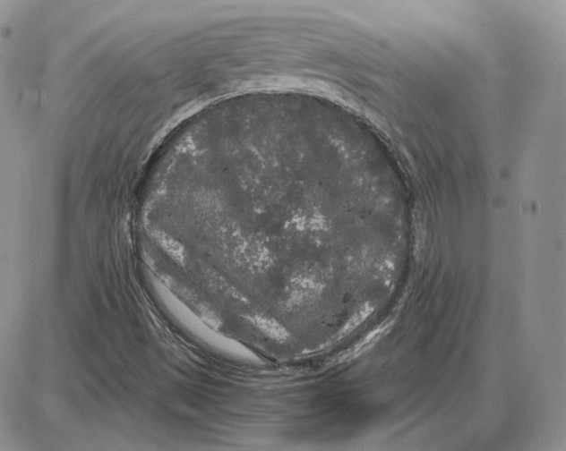 X0000087641497200705241226