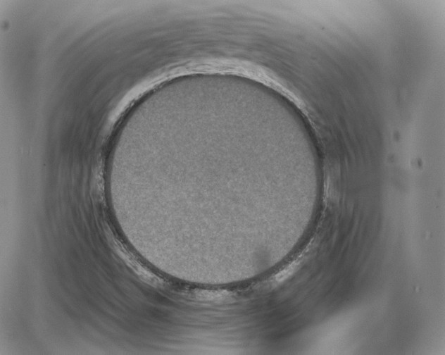 X0000087641498200705241227