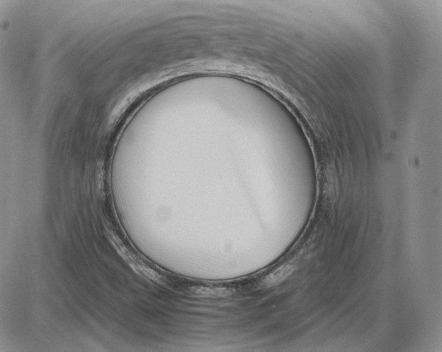 X0000087641499200705241227