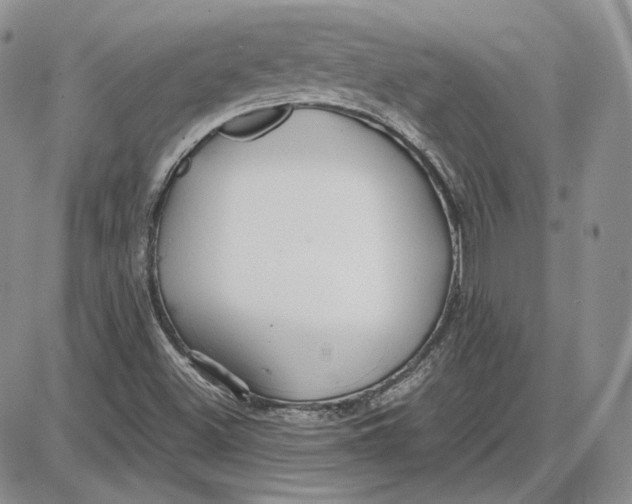 X0000087641500200705241227