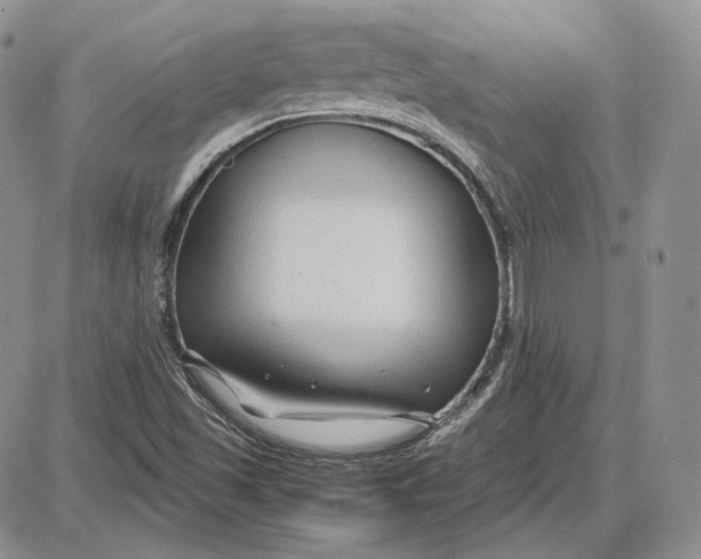 X0000087641501200705241227