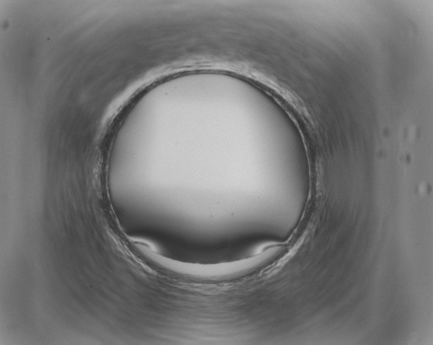 X0000087641502200705241227