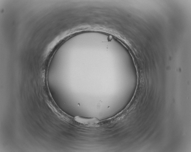 X0000087641503200705241227