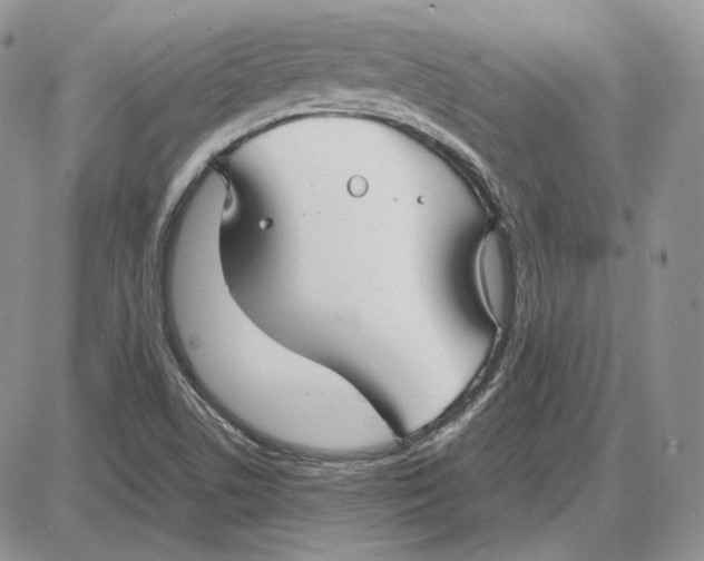 X0000087641506200705241227