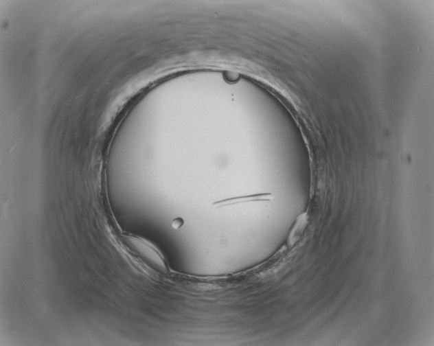 X0000087641507200705241227