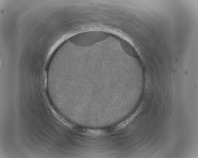 X0000087641509200705241227