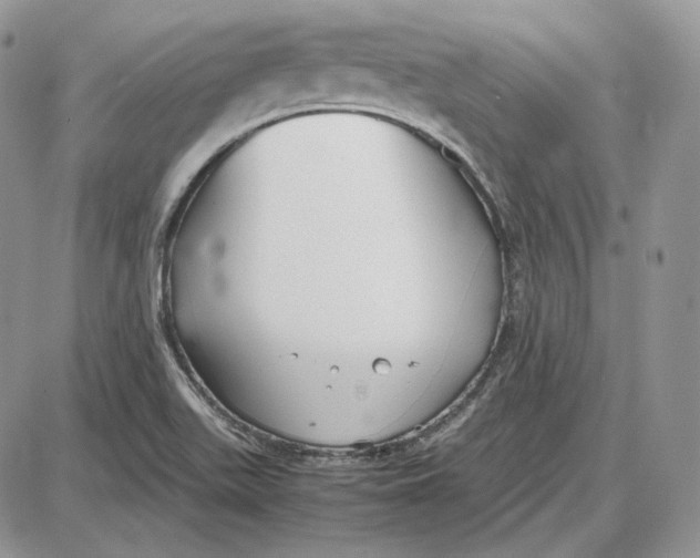 X0000087641511200705241227