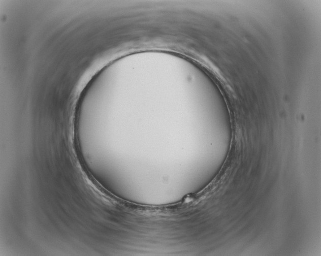 X0000087641512200705241227