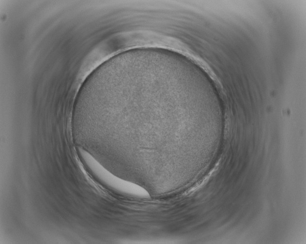 X0000087641513200705241227