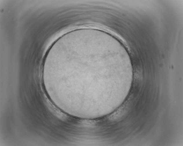 X0000087641514200705241227