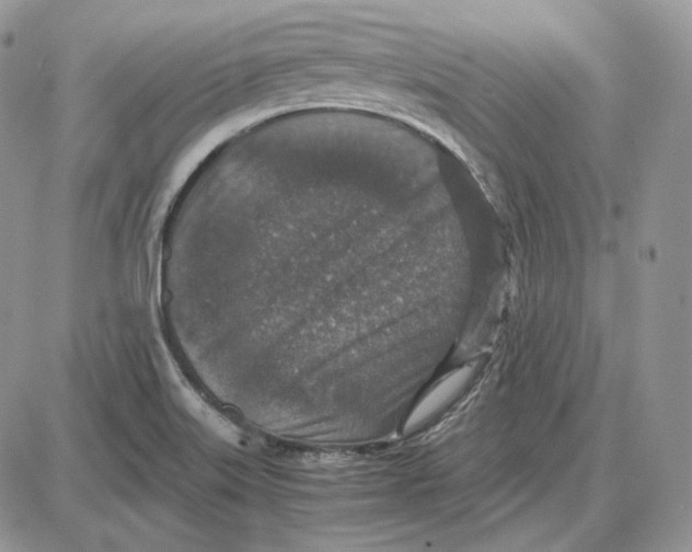 X0000087641515200705241227