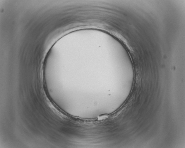 X0000087641516200705241227