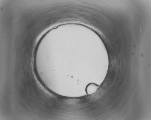 X0000087641518200705241227