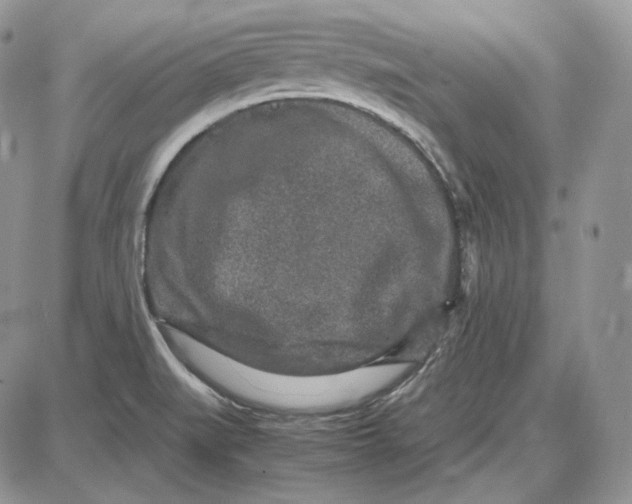 X0000087641519200705241227