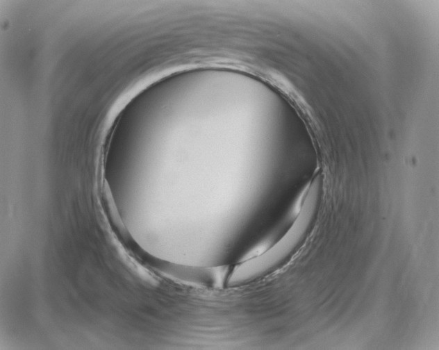 X0000087641520200705241227