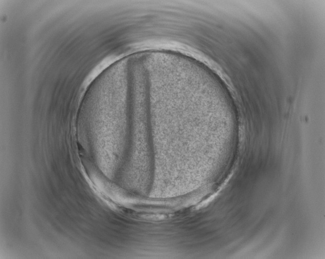 X0000087641521200705241227