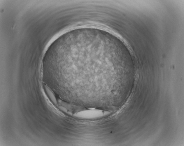 X0000087641522200705241227