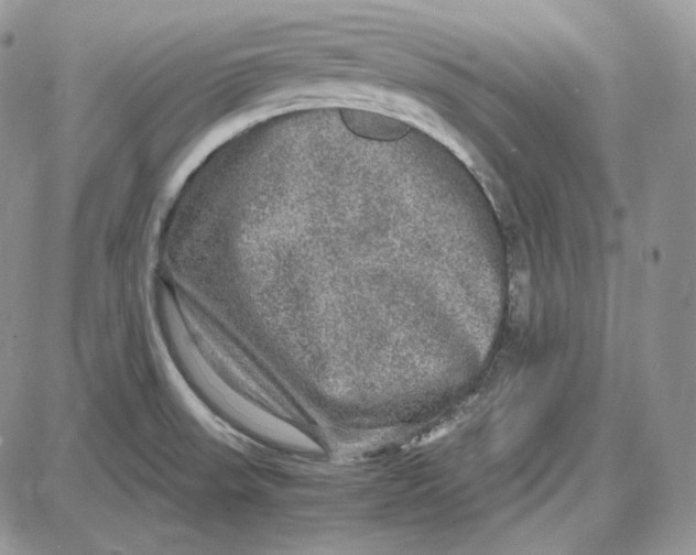 X0000087641523200705241227