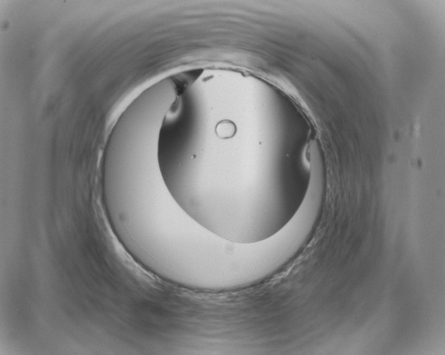 X0000087641524200705241227