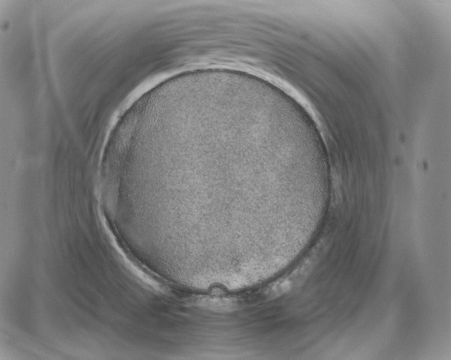 X0000087641525200705241227