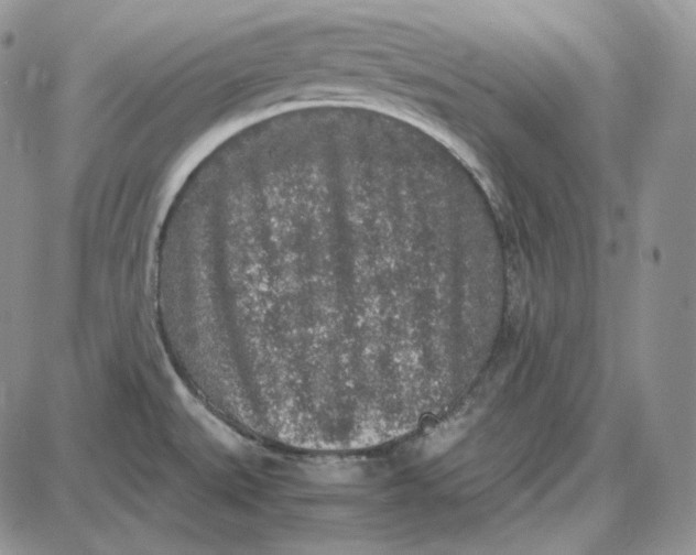 X0000087641527200705241227