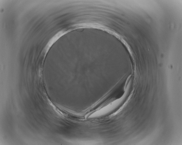 X0000087641529200705241227