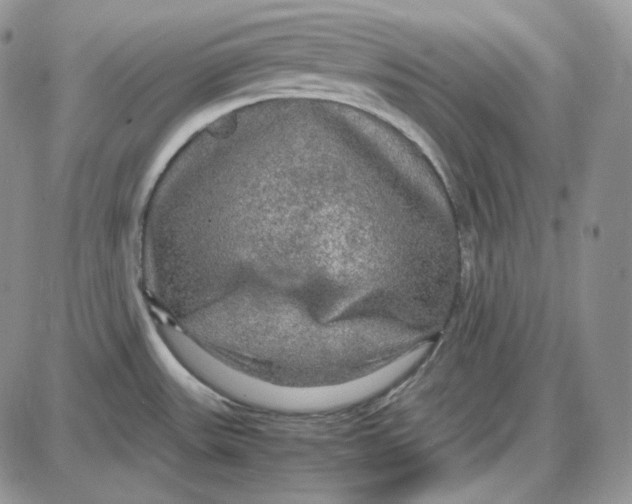 X0000087641531200705241227