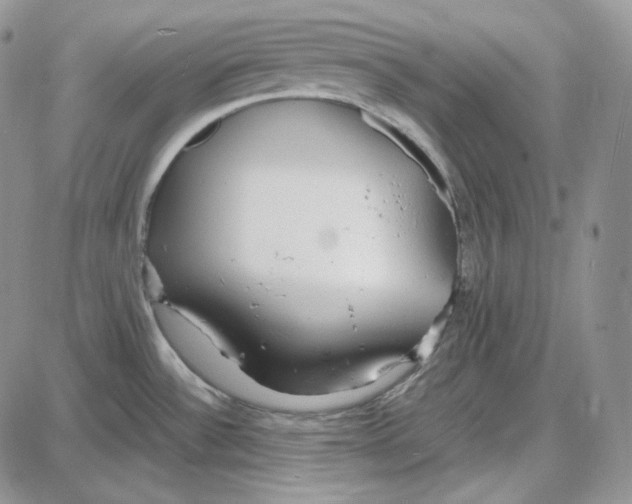 X0000087641532200705241227