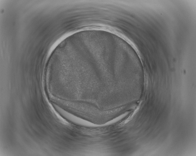 X0000087641533200705241227