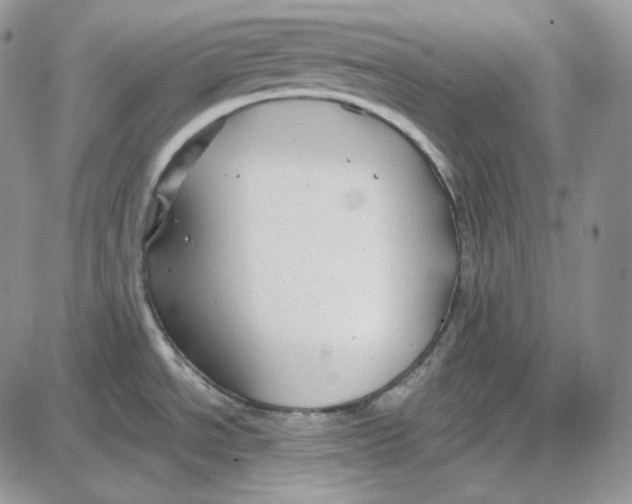 X0000087641534200705241227