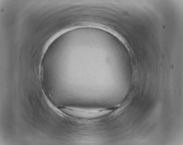 X0000087641535200705241227