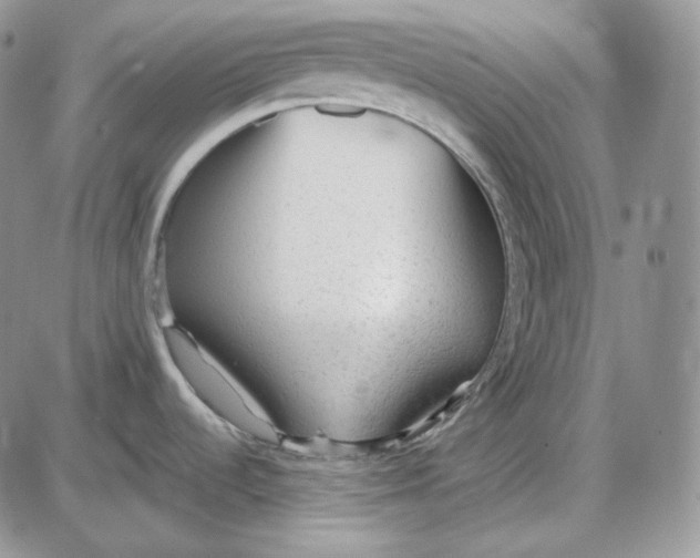 X0000087641536200705241227