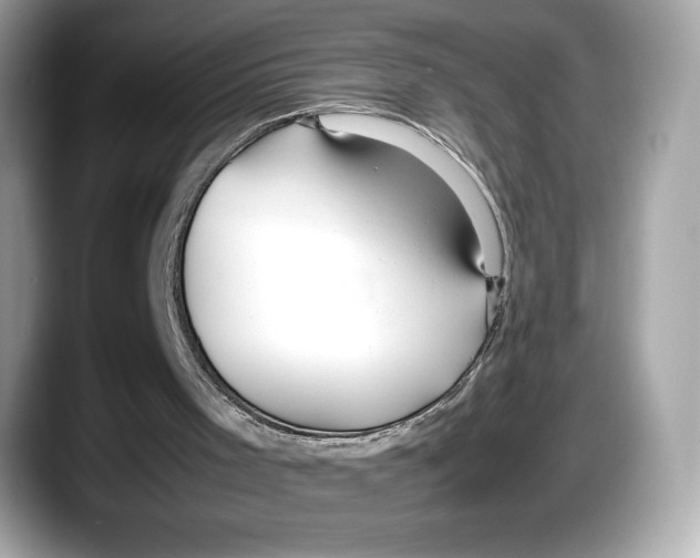 X0000087640001200705311335