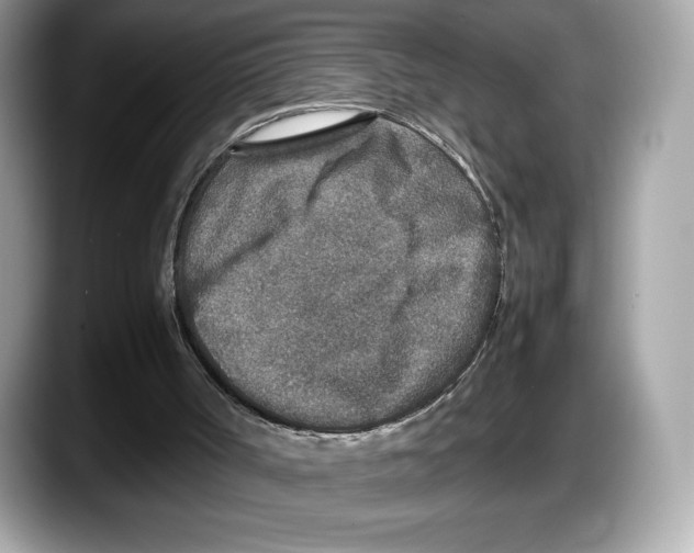 X0000087640002200705311335