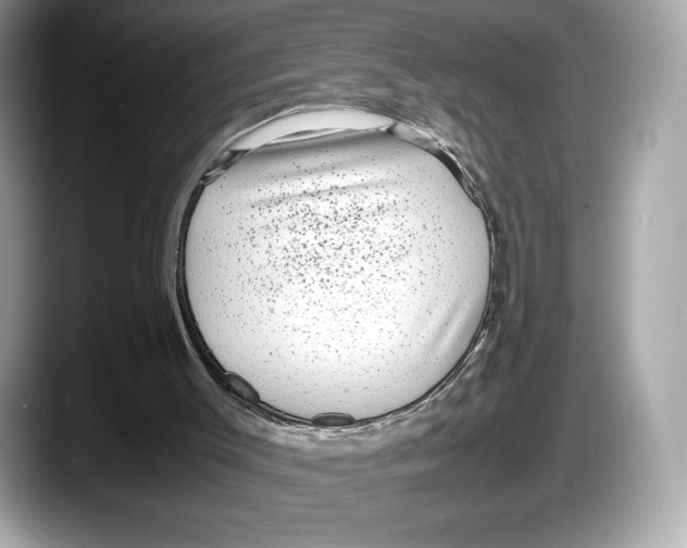 X0000087640003200705311335