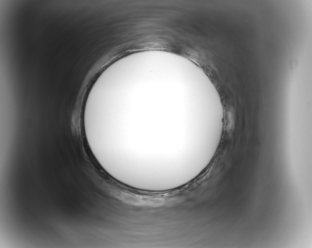 X0000087640004200705311335