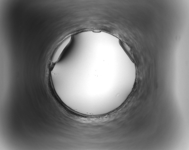 X0000087640005200705311335