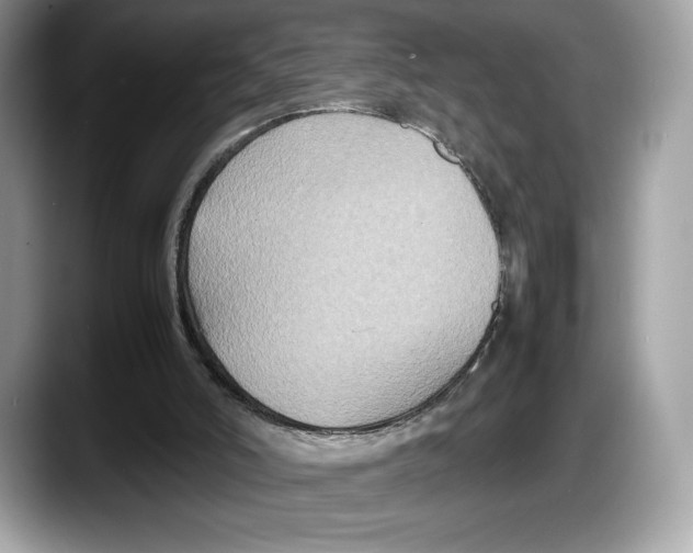 X0000087640006200705311335