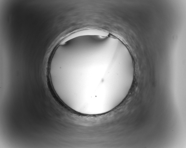 X0000087640007200705311335