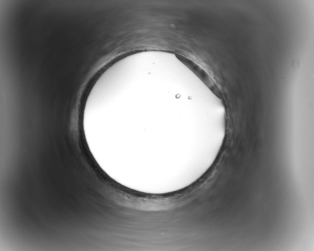 X0000087640008200705311335