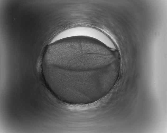 X0000087640009200705311335